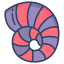 贝壳 icon