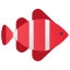 小丑鱼 icon