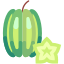 Starfruit icon