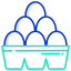 Carton d&#39;oeufs icon