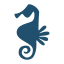 Cavalo-marinho icon