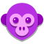 Año del mono icon