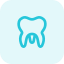 Molar teeth isolated on a white background icon