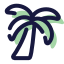 Palm Tree icon