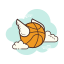 Flappy-Dunk icon