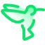 Colibri icon