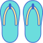 Flip Flops icon