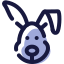 兔年 icon