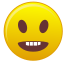 Irritado icon