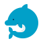 Delfin icon