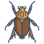 Beetle icon