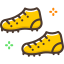 29-shoe icon