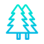 Pine Trees icon