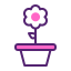 Blossom icon