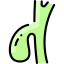 Gallbladder icon