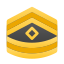 一等军士长1SG icon