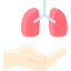 Pulmones icon