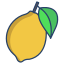 Citron icon