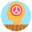 Peace Of Mind icon