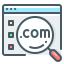 Domain icon