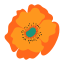 Poppy icon