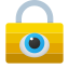 Privacy icon