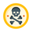 Pirate coin icon