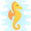 Cavalluccio marino icon