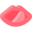 Lips icon