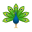 Pavão icon