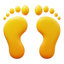 Footprint icon