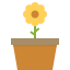 Blossom icon