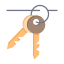 Keys icon