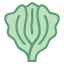 Alface icon