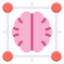 Cerveau icon