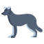 Border Collie icon