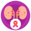 Kidneys icon