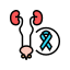 Genitourinary System Disease icon