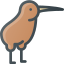 Kiwi icon