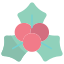 Mistletoe icon