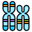 Chromosome icon