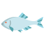 Japanese Bitterling Fish icon