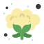 Cauliflower icon