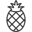 Ananas icon