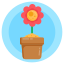 Daisy icon