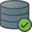 Checked Database icon