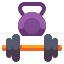 Gym Equipment icon