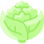 Romanesco Broccoli icon