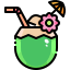 Coconut Water icon