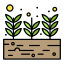 Growing Plant icon